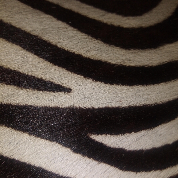 Handbag - Picture 4 of 5